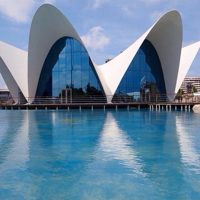 Two summer ago... ??????????
Parco oceanografico di Valencia ????
#spagna#valencia#holiday#friends#lovetravel#ig_spain_#igworldclub#plane#fly#picoftheday#ok_spain#iGersSpain#somosinstagramers#HDR_EUROPE#LOVES_BESTPIC#lovevalencia#architecture#wonderful_places#oceanografico#oceanografic#españa#EspañaInstagram#ontdekvalencia