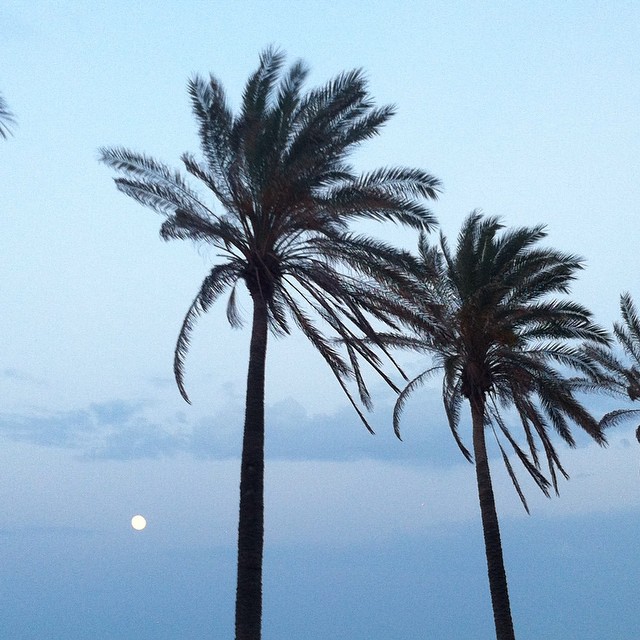 Buenas noches, notando la brisa del mar con @anaswell #longboardrules #valencia #lovevalencia
#love #instagood #me #smile #follow #cute #photooftheday #tbt #followme #girl #beautiful #happy #picoftheday #instadaily #food #swag #amazing #TFLers #fashion #igers #fun #summer #instalike #bestoftheday #smile #like4like #friends #instamood