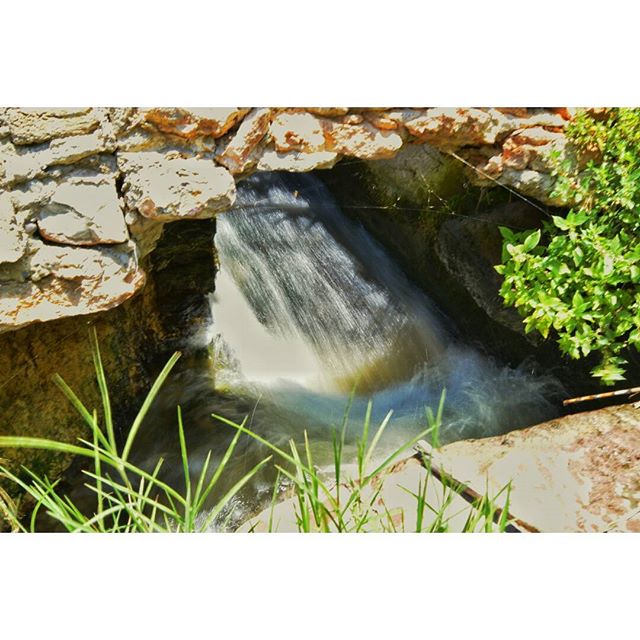 Siento que todo posa para mi cuando salgo con mi #reflex ????????
#instasize #like #instanature #naturaleza_comunidadvalenciana #natural #agua #estaes_de_todo #estaes_valencia #lovevalencia #igbest_shotz #igbest #valenciaenamora #nikon #nikond3200 #photografy #pic #photoamateurs #igers #instagramers #instacapture #galleries #picoftheday #photooftheday #river #instagood #digers_edit #nikonistas #arteemfoco #UnaNikonistaAmateur
