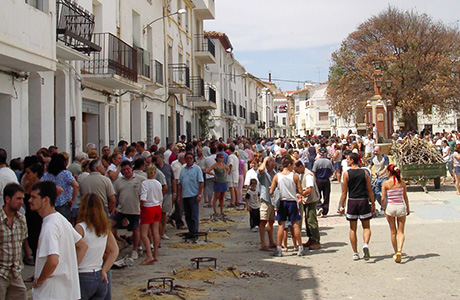Fiestas de Aras de los Olmos 2015