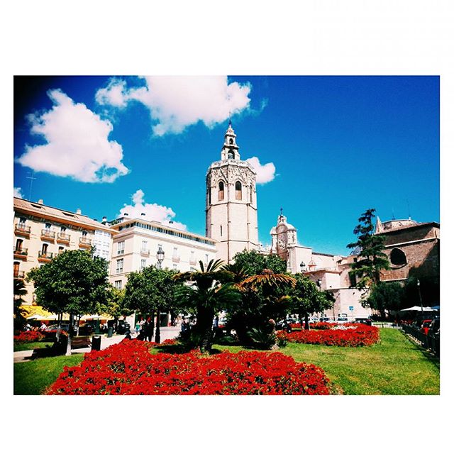Lo visible siempre esconde algo invisible.
#vsco #vscocam #vscospain #vscoedit #vscogrid #garden #gardening #valencia #valenciaenamora #plazadelareina #plazalareina #micalet #catedral #photo #photography #city #lovephotography #lovevalencia #sky #photographer #igers #igerspain #igersvlc #instasize