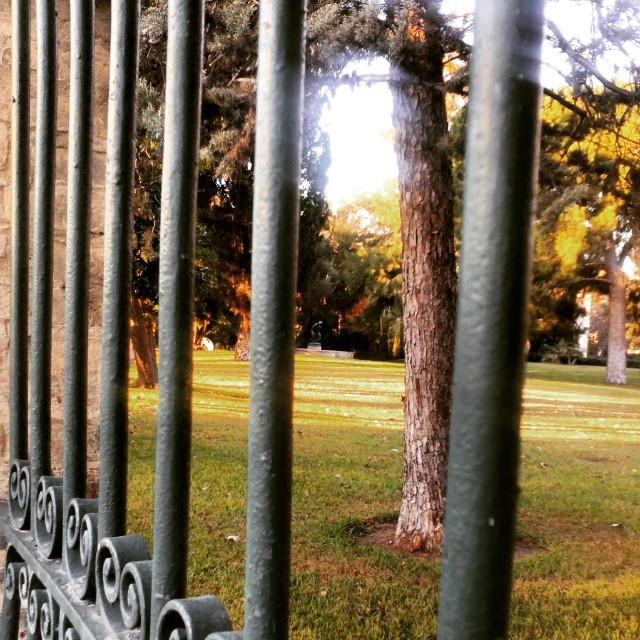 Jardines del Real #paseossoldevilavalencia #match_valencia #total_cvalenciana #estaes_valencia #valenciaenamora #lovevalencia #hdr #hdriphoneographer #TagsForLikes.com #hdrspotters #hdrstyles_gf #hdri #hdroftheday #hdriphonegraphy #hdrepublic #hdr_lovers #awesome_hdr #instagood #hdrphotography #photooftheday #hdrimage #hdr_gallery #hdr_love #hdrfreak #hdrama #hdrart #hdrphoto #hdrfusion #hdrmania #hdrstyles