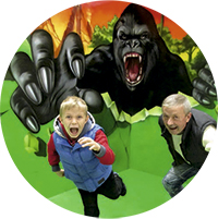 Expo Cuadros 3D Pintura Viva