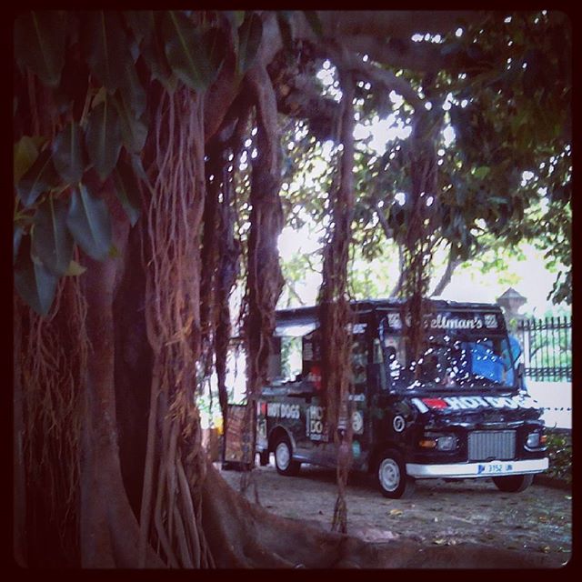 #contraVan #contravanfoodfestival #contravanfestival #lovevalencia #viveros #jardinesdelreal #caravana