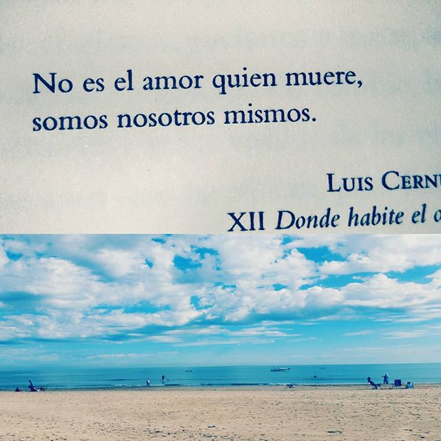 El amor...#poetas #paisajesqueenamoran #librosquedejanhuella #elperellonet#pareceverano #marmediterraneo #valenciagram#lovevalencia #relaxing