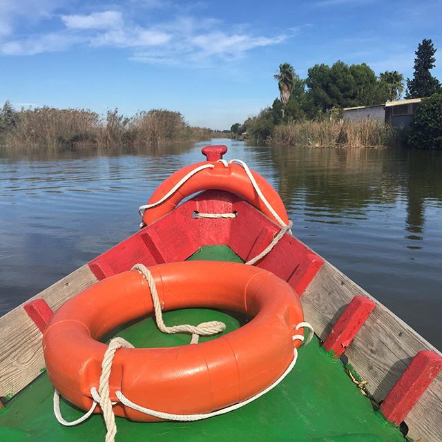 #Paseo por La #Albufera #lovevalencia #barca #boat #trip #ecoturisme #lovealbufera #ecoturismo #elpalmar