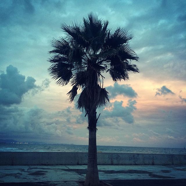 #Sunset #Valencia ?? #beach #sun #sea #palmtrees #keepcalm #lovevalencia #travelbug #wanderlust #iyigeceler #goodnight #buenasnoches
