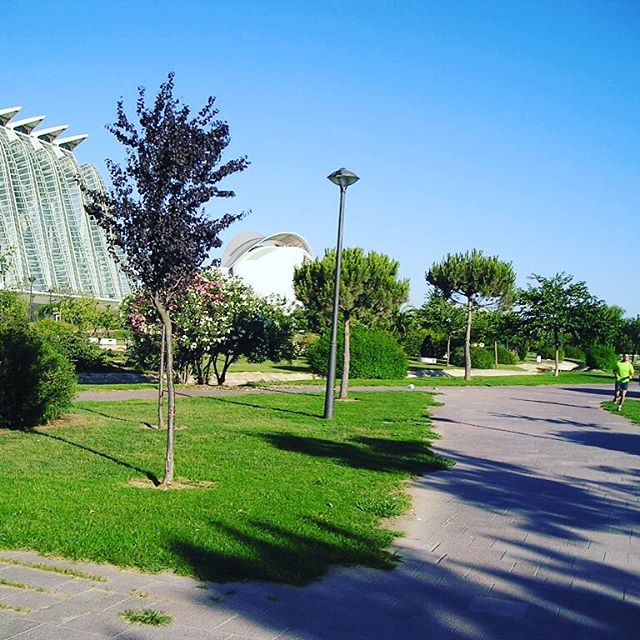Paseando por el río turia#lovevalencia#walking#relaxing#sportsday
