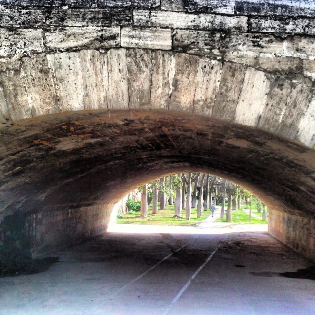 Jardin del Turia. #paseossoldevilavalencia #match_valencia #total_cvalenciana #estaes_valencia #lovevalencia #wtdvalencia #vsco #hdr #hdriphoneographer #hdrspotters #hdrstyles_gf #hdri #hdroftheday #hdriphonegraphy #hdrepublic #hdr_lovers #awesome_hdr #hdrphotography #photooftheday #hdrimage #hdr_gallery #hdr_love #hdrfreak #hdrama #hdrart #hdrphoto #hdrfusion #hdrmania #hdrstyles #ihdr
