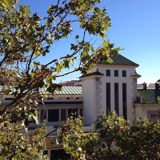 -Un ottobre con un sole così, Valencia senza filtri????-
#valencia#octubre#solcito#sol#sunnyday#ottobre#erasmus#erasmusvalencia#nofilter#nofilterneeded#calor#buongiorno#goodmorning#sunny#lovevalencia#cosavedodallafinestra#window#panorama#casa#home??