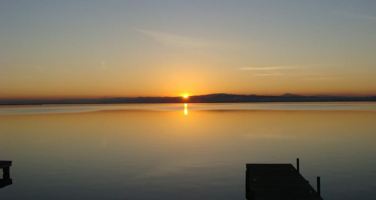 Albufera valencia