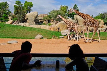 Bioparc Valencia Spagna