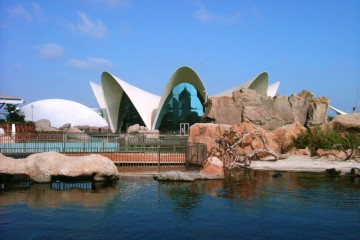 oceanografic valencia