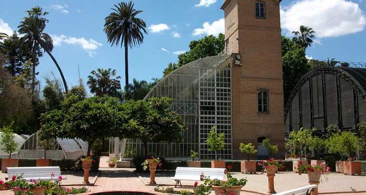 Botanical Garden Valencia