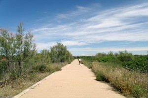 parco naturale la albufera di Valencia