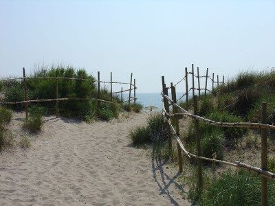 Devesa del Saler Beach, Valencia, Spain