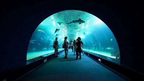 Oceanographic underwater tunnel