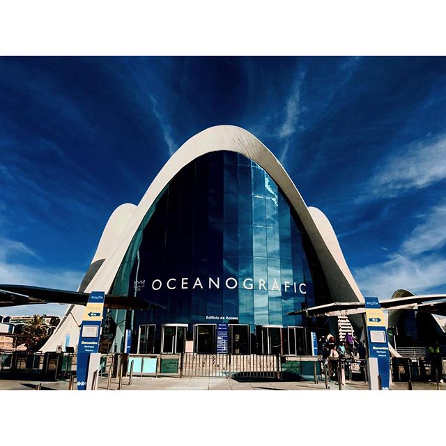 #Memories of a #City!! #Series #Valencia's of #Arts and #Sciencies #Welcome to the #Future! #Cac #Museum #Bridge #CityPorn #PicOfTheDay #EditByMe #MyBeautifulWork #IphonePicture #LifeOfAPhotographer #CiudaddelasArtesylasCiencias #Valenciagram #Calatrava #IgersValencia #LoveValencia #valenciagrafias