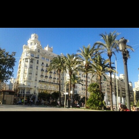 25degrees.Valencia.November. ??? #valenciagram #valencia #lovevalencia #sunshine #palmtree #beauty #belleza #november #hot #lovespain #nevergohone