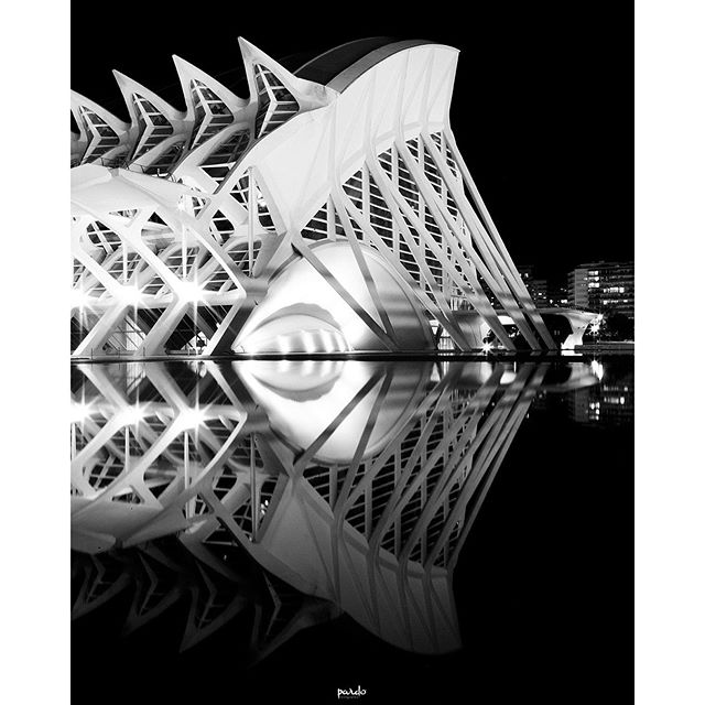 Museo Príncipe Felipe. #Valencia #Valengram #Igers #igersvalencia #Arquitectura #Arquitecture #ciudad #city #loveValencia #ValenciaLaMásBonita #paseo #Domingo #nocturna #night #FotografosPardo #TierraDeFallas #Fallas