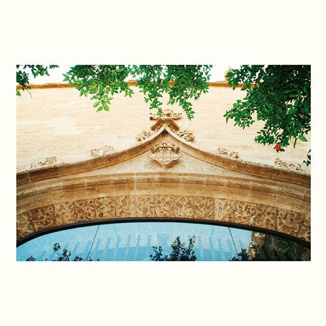 #vscocam #architecture #ig_valencia #valenciagram #valencia #like #picoftheday #follow #lovevalencia #lonja #arquitectura #megusta #sígueme #love
