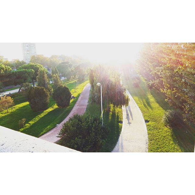 La vida consiste en aprender y desaprender #park #landscape #landscape_lovers #nature #naturepolis #natureonly #valencia #skylovers #skyline #igersvalencia #ig_valencia #valenciaenamora #loves_naturelife #lovevalencia #estaes_valencia #trees #landscapes #sunset #365puestasdesol