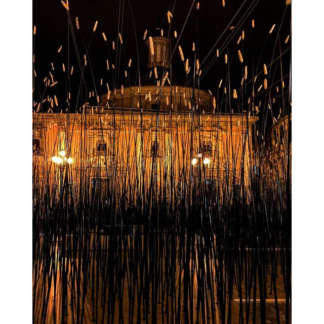 Campo de cebada en la plaza de la virgen, obra de Monique Bastiaans
#instalike#tagsforlikes#insta_world_life_#instalife_shot#estaes_arte#estaes_valencia#ok_valencia#match_valencia#loves_valencia#lovevalencia#total_valencia#total_cvalenciana#valenciaviva#ok_spain#estaes_espania#estaes_españa#ok__europe#ok_mencionados#moniquebastiaans#basilica#valencia#igersvalencia#igersespaña