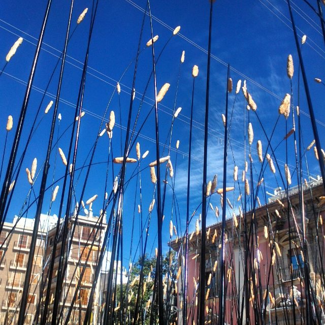 PLAZA DE LA VIRGEN -VALENCIA.  LABERINTO DE CEBADA  #paseossoldevilavalencia#vsco #match_valencia #total_cvalenciana #total_city #lucky_hdr #lovevalencia #loryandalpha #world_splash #worldbest_street #estaes_valencia #insta_world_life_ #igers_valencia #igers_alicante#streetart #world_besthdr#valenciaenamora