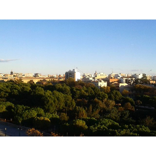 Aquí está Es Salero,  detrás de este maravilloso "verdor", en medio de nuestra Valencia histórica. Y en un barrio de tradición artesana. Esta foto la he tomado yo misma, ¡ahora mismo! 
#flamenco #valencia #lovespain#lovevalencia