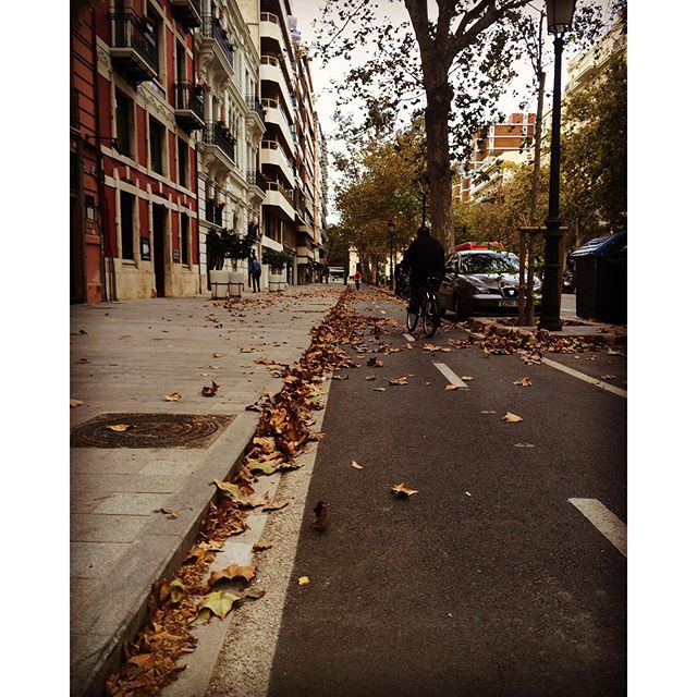 Me encanta esta calle de #Valencia en otoño?? #navarroreverter #lovevalencia