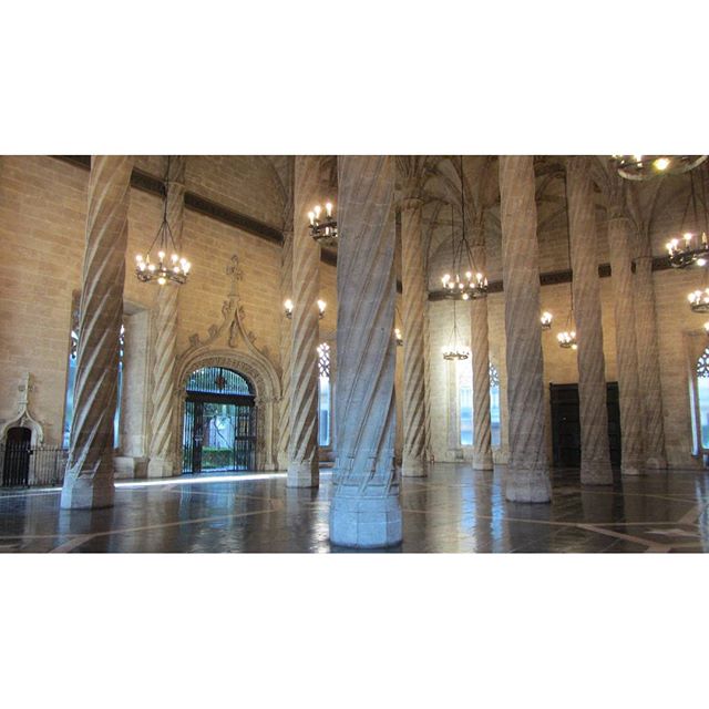 #Valencia #visitvalencia #lovevalencia #Spain #visitspain #architecture #architectuur #citytripme #citytoursguide #lonjadelaseda #silk #zijde #zijdebeurs #soie