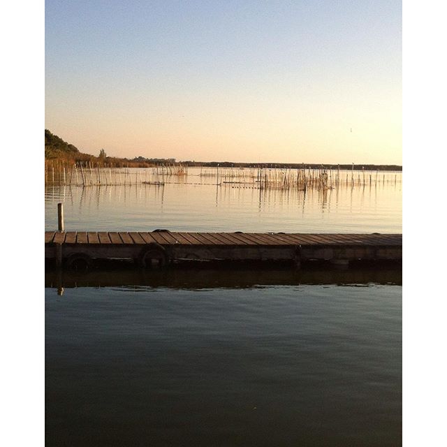 The perfect place for a sunny day ??