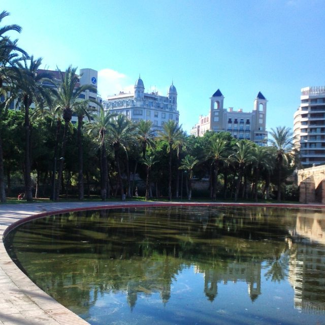 FOTO DESDE JARDIN DEL TURIA-VALENCIA #paseossoldevilavalencia #vsco#total_city #total_cvalenciana #match_valencia #be_one_spain #bnw_splash #worldbest_nature #world_splash #worldbestreet #valenciaenamora #igers_valencia #igers_alicante #lucky_hdr #lovevalencia #loryandalpha #vivo_street #wtdvalencia#world_great#estaes_valencia#valencialive