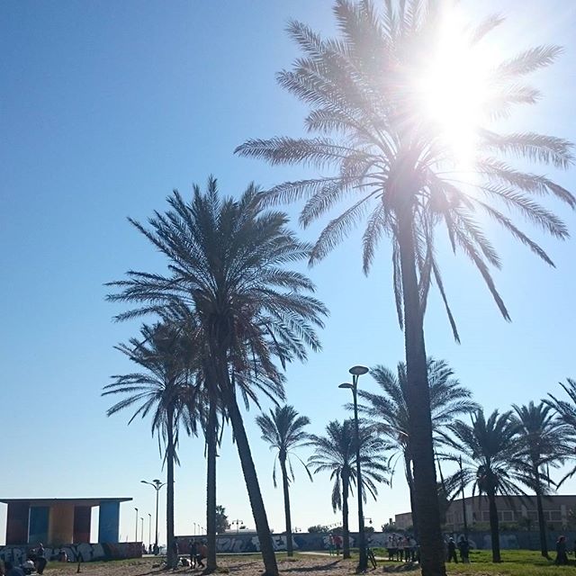 Que suerte la nuestra, la de los valencianos de poder disfrutar de un clima perfecto. #lovevalencia #valencia #sol #sun #terreta #lomillor #soleado #climaperfecto #rober