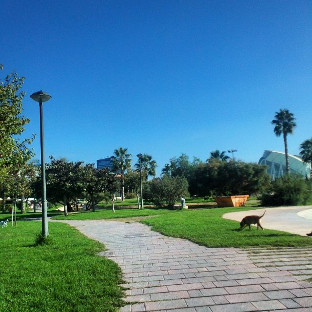 JARDINES ANTIGUO CAUCE RIO TURIA - VALENCIA #paseossoldevilavalencia #vsco #match_valencia #total_cvalenciana #valenciaenamora #lovevalencia #estaes_valencia #loryandalpha #best_houlding_hdr #worldbest_nature #world_splash #worlfbes_street #vivo_street #enfocae #hdr_spain