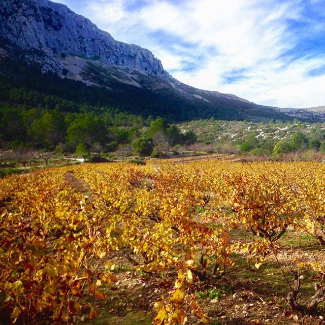 Ayer tocó senderismo... Qué lindo Domingo!