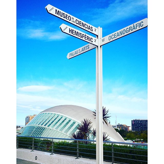 ???#museodelasciencias  #oceanogràfic #hemisféric  #palaudelesarts #ciudaddelesartesylasciensas #vlc  #architecturelovers #lovingspain #valencialoves1d #loves_valencia #lovevalencia #calatrava 
#vueltaalmundo #igers #photos #cultura #instatravel #viajes #tourism #instatrip #abroad #travelgram #worldtourists #selfietravel #instatrip #instavalencia #instapassport