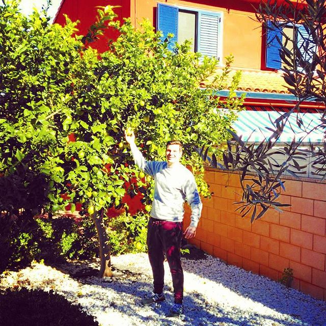 Mi limón, mi limonero
#limon #lemon #amarillo #ribaroja #valencia #lovevalencia #spain