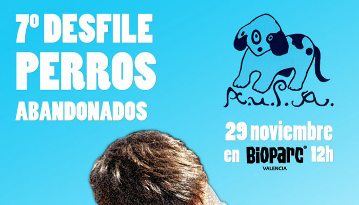 Desfile para adoptar peros abandonados Valencia