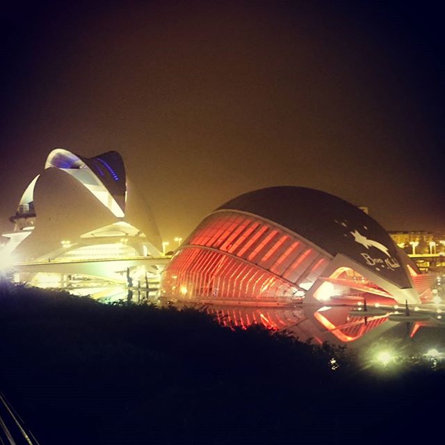 #ciudaddelasartesylasciencias #Valencia #estaes_Valencia #estaes_espania #igers #igersvalencia #ok_valencia #valenfornia #igersoftheday #hemisferic #picoftheday #picofday #beautiful #lovevalencia #lights #palaureinasofia #reinasofia #colours #Bonnadal #yaesnavidad