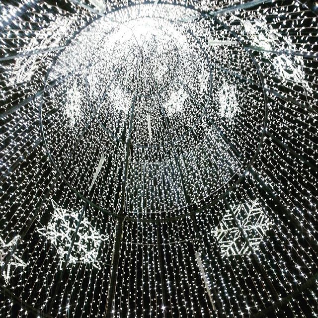 #valenciaatnight #plazadelareina #ambientenavideño #lumimoso #lovevalencia #aquimequedo ?