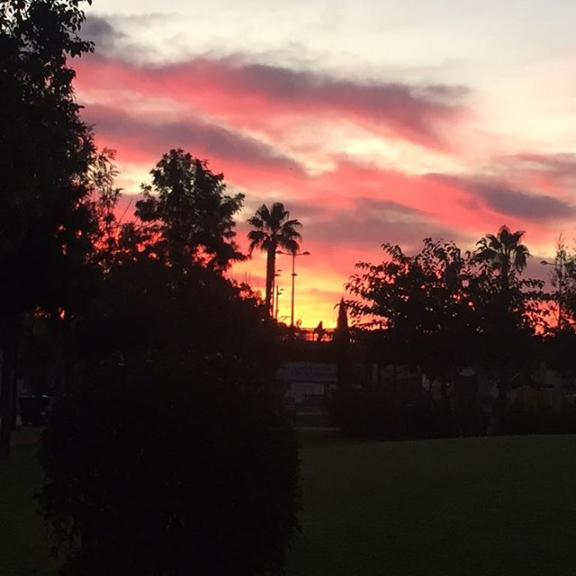 Quando alzi lo sguardo ti trovi ad osservare le bellezze della natura #alba #valencia #lovevalencia #madrugada #passeggiando