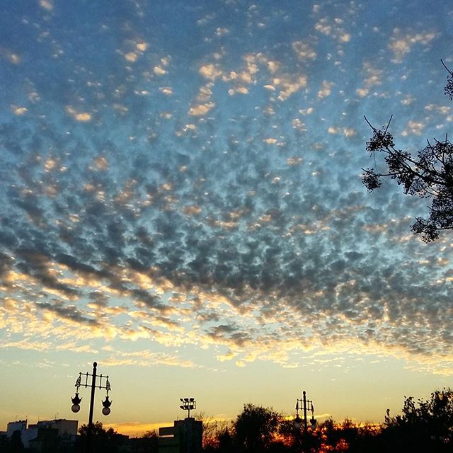 Sentir que por fin funciona, que todo fluye, que al fin lo consigues y te sientes como querías #skyline #sky #skylovers #misfotosdecielos #cloudslovers #cloudscape #clouds #cloudporn #city #valencia #igersvalencia #ig_valencia #valenciagrafias #valenciaenamora #estaes_valencia #daros_city #fotomovil_es #instalife_shot #lovevalencia #loves_naturelife #nature #sunset_madness #sunset