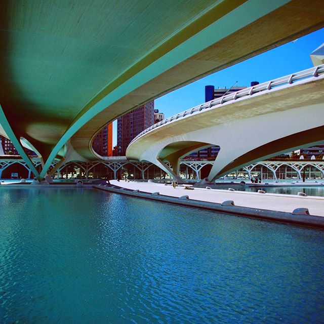 #ciudaddelasartesylasciencias #riodecultura #caucedelturia #valencia #valenciagrafias #valenciagram #instavalencia #lovevalencia #comunidadvalenciana #spain #igersvalencia #valenciaenamora #arquitetura #calatrava #instagram_spain #instagram #lovespain #igers #monumentalspain_gallery #instagood