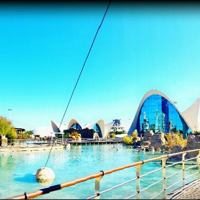 #vlc #valencia #comunidadvalenciana #spain #visitspain #espana #ciudadvella #cityspaces #traveldiaries #wanderlust #viewpoint #instalike #instadaily #instapic #picoftheday #paradise #traveling #travelgram #tripgram #instatravel #instapassport #loves_valencia #lovevalencia #instavsco #igers #ciudad #ciudaddelasartesylasciencias