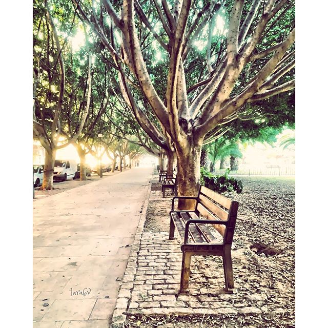 "A veces es preciso partir para volver a encontrar el camino.” ????