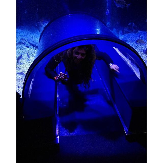???????
?? trying to become a little mermaid! ?????
Océanografic #vlc  #valencia #comunidadvalenciana #spain #visitspain #espana #ciudadvella #ciudaddelesartesylasciensas #oceanogràfic #fish #differentspecies #nature_perfection #naturelovers #underworld #oceanic #submarine #submarineworld #swimmingwithfishes #outstanding #seamakesmecalm #sealife #seaaddicted #nofilterneeded #instarelax #travelgram #tripgram #loves_valencia #lovevalencia #likelittlemermaid