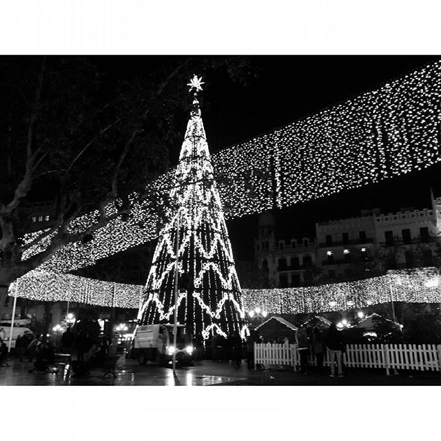 #christmas #christmastree #plazadelayuntamiento #valencia #lovevalencia #saturdaynight #perfectsmoments #thebest #photography #photographerlovers #phoyographylovers #photographerlife #photogrid #photobomb #photographyislife #beautifulplace #city #phoneshot #blackandwhite #inlove #lights #christmaslights