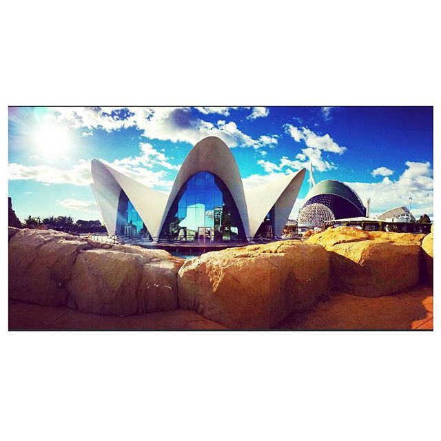 ??? #traveldiaries #wanderlust #travelgram #tripgram #instatravel #instapassport #loves_valencia #lovevalencia