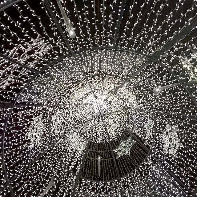 •perspectivas• #tree #christmastree #inside #photooftheday #nofilter #photo #nofilters #like4like #likeforlike #likesforlikes #tagsforlikes #likes4likes #l4l #igaddict #tagstagramers #instamood #instacool #instapic #picoftheday #merrychristmas #igersvalencia #comunitatvalenciana #comunitat_valenciana #valencia #lovevalencia